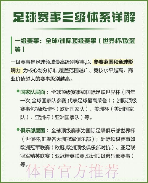 全面解析世界杯足球比赛预测与分析